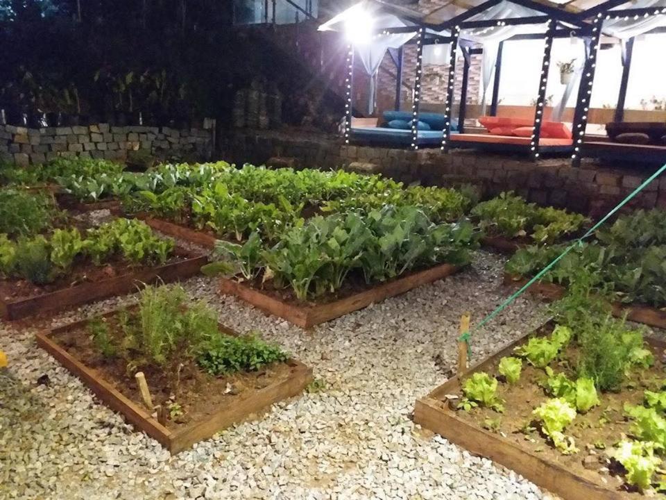 Degree 29 Hostel Dalat Luaran gambar